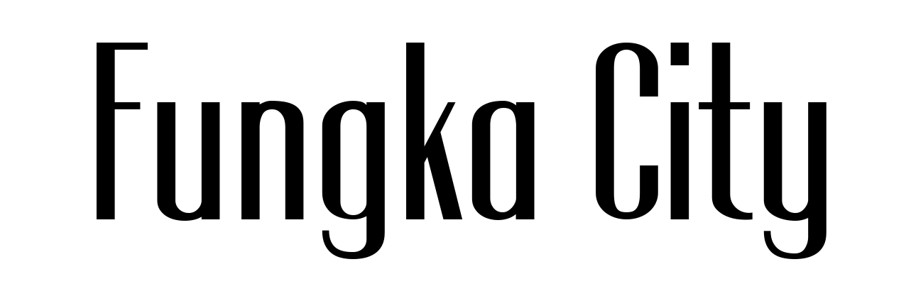 Fungka City